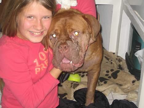 Dogue de bordeaux freja, DØD billede 7