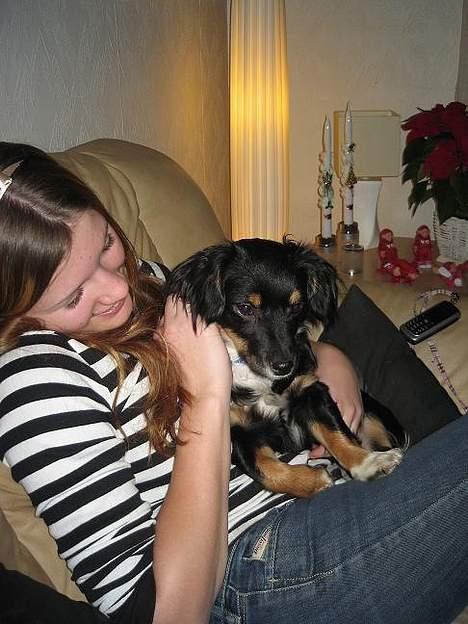 Blanding af racer Dax billede 3