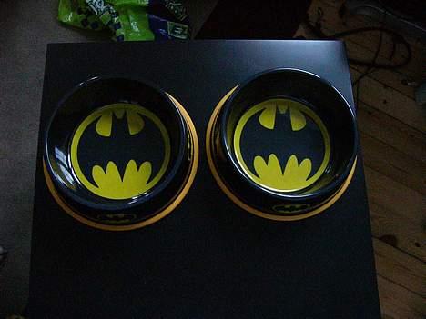 Staffordshire bull terrier Batman * R.I.P *  16/2-07 - så er de her batmans nye mad og vand skåle ;-) billede 5