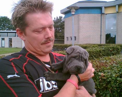 Shar pei Lupus - mig og min far :) billede 3