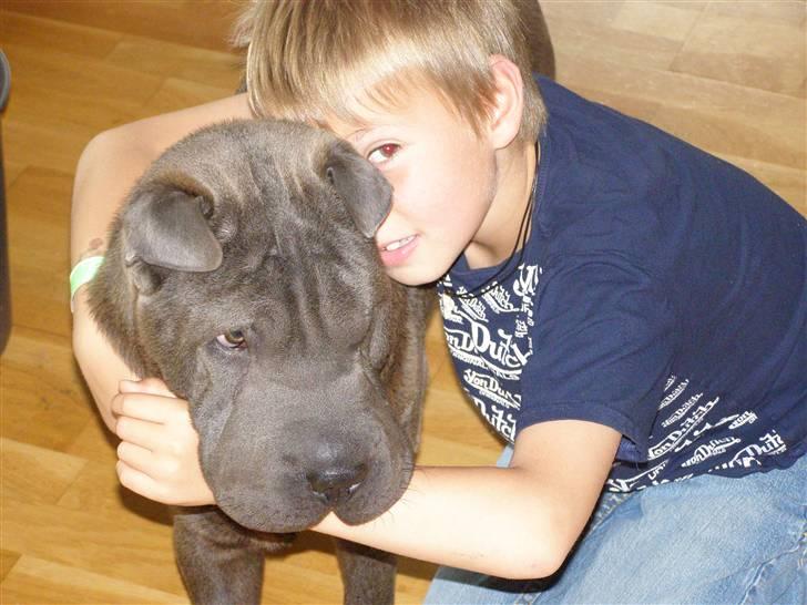 Shar pei Lupus - mig og min storebror tobias. billede 9