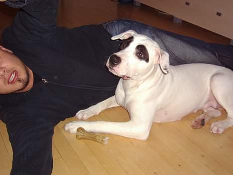 Blanding af racer Cayla billede 14