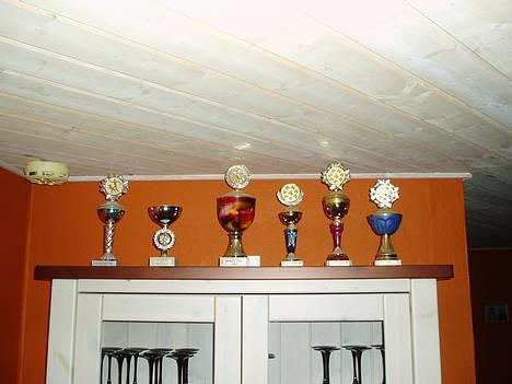 Tervueren Kingo *død* 5/11-07 - Dem har han vundet i Agility, han er da dygtig! billede 4