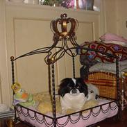 Blanding af racer Lovely