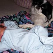 Blanding af racer Lovely