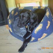 Blanding af racer Mille