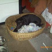 Blanding af racer Mille