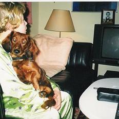 Gravhund Pasja - Fimme:)