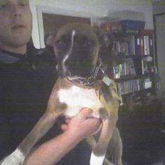 Blanding af racer kikki