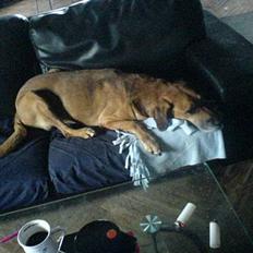 Blanding af racer Balder ****R.I.P****