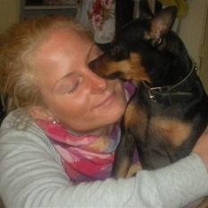 Dvaergpinscher King  † R.I.P