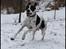 Pointer Emil - Oppdatert: jan09