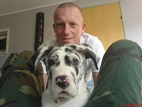 Grand danois THOR - mig og min far... ;.) billede 4