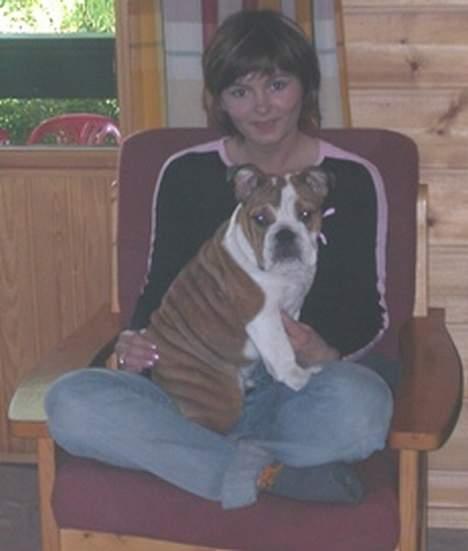 Engelsk bulldog Betty - sidder ved min mor, vi holder nemlig ferie billede 10