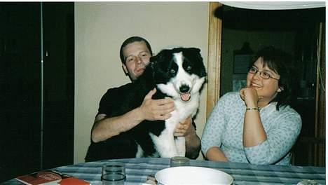 Karelsk bjørnehund Fellow (død 11 dec 2009) - "Skødehunden" Fellow billede 6