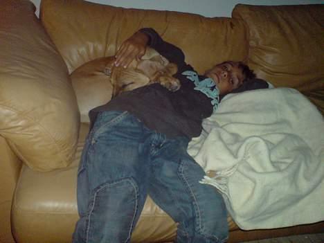 Blanding af racer Rex - På besøg i Søborg... billede 11