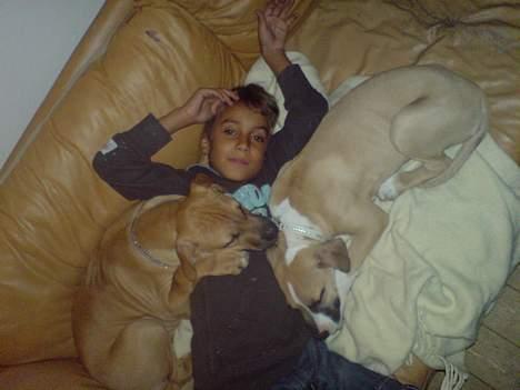 Blanding af racer Victoria - Tre afslappede børn... billede 11