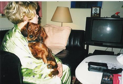 Gravhund Pasja - Fimme:) - Mig og Fimme morgenhygger :b billede 1