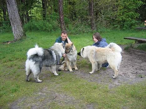 Eurasier Jessica - Jessica sammen med sine efterhånden store børn. billede 5