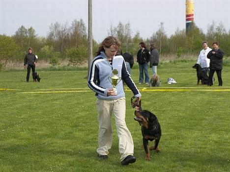 Rottweiler Vom Hause Luna's Bodie billede 2