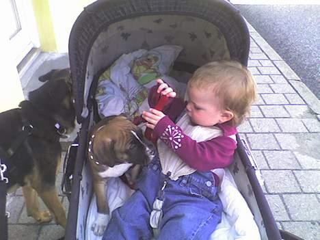 Blanding af racer kikki - dette er også fra den 28/8-2006 kikki sammen med min datter Sofie  billede 5