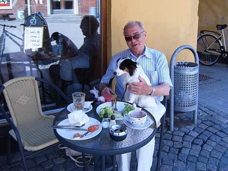 Blanding af racer Mollypigen - Molly på Cafe billede 11