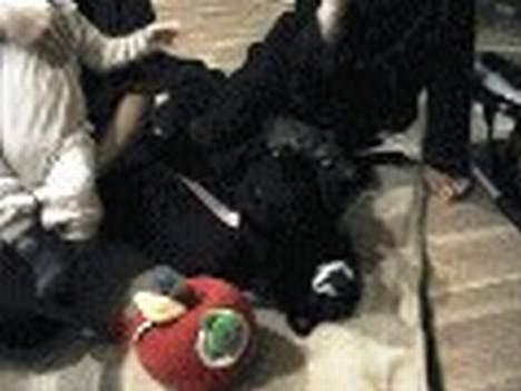 Blanding af racer B´sen RIP 8/10-2010 billede 6