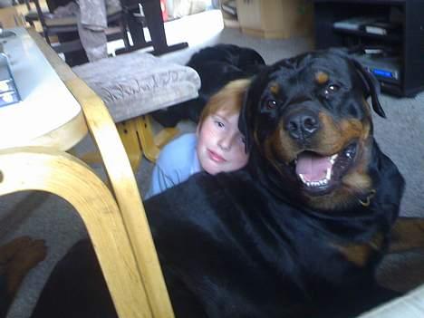 Rottweiler Onex vom Hause Anin R.I.P - bedste venner.. jacob og onex billede 6