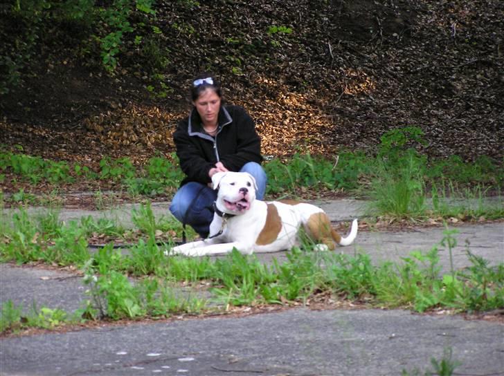 Amerikansk bulldog Dupont RIP - Mor og mig til træning billede 1