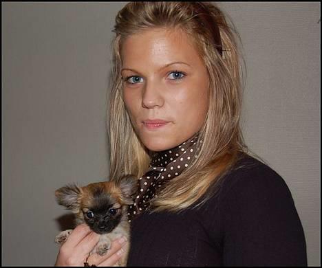 Chihuahua Nero - Mig selv sammen med Nero.. billede 6