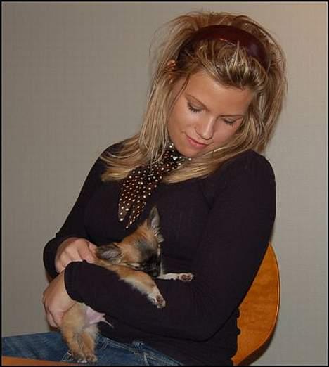 Chihuahua Nero - Nårr her sover du ved mig.. billede 8