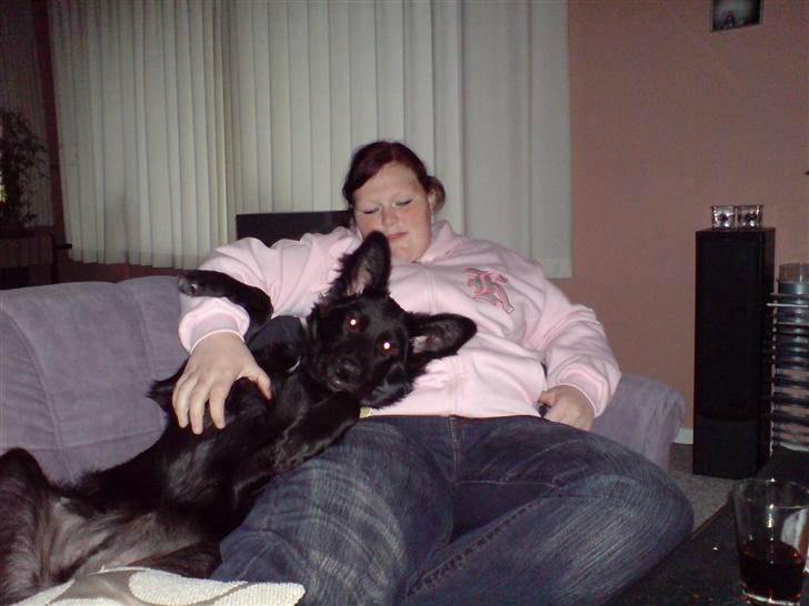 Blanding af racer Balder - Hyggetid i sofaen sammen med miin moar billede 17