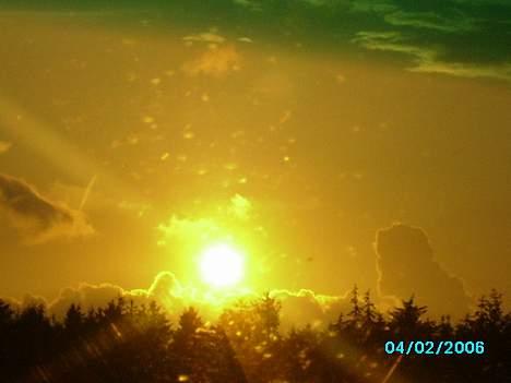 Blanding af racer Rosa sov sødt - ses billede 16