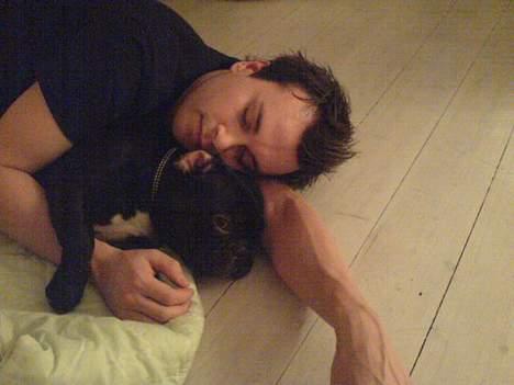 Fransk bulldog Ejner billede 6