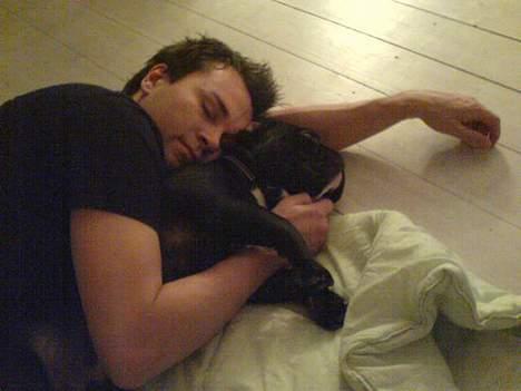 Fransk bulldog Ejner billede 7