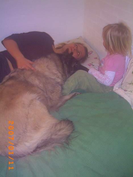 Tervueren Zitta - Det er så min mor og Ida. billede 9