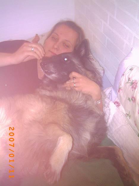 Tervueren Zitta - Det er min mor, det er hendes skyld jeg er så lydig. billede 10