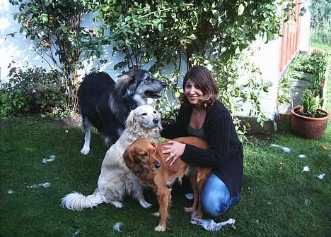 Blanding af racer Muddi #DØD# billede 3