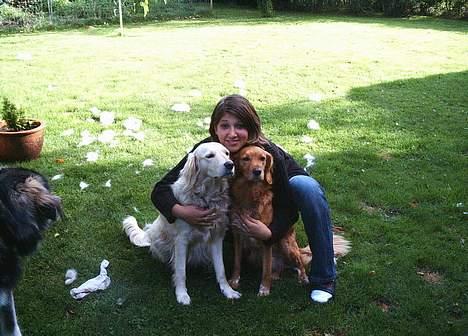 Blanding af racer Muddi #DØD# billede 4