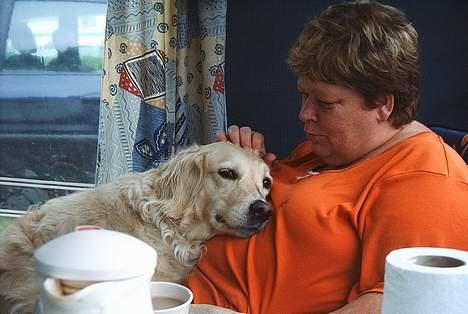 Blanding af racer Muddi #DØD# billede 7