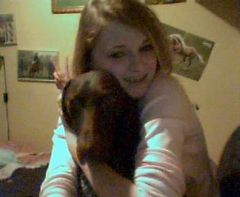 Korthåret hønsehund Emma ( balade mageren) - Man kan vel ikke gøre for at man har charme ? ;b billede 12