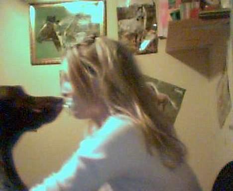 Korthåret hønsehund Emma ( balade mageren) - Man kan vel ikke gøre for at man har charme ? ;b billede 13