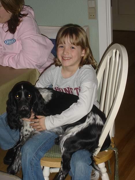 Cocker spaniel Freya - Ashliegh og Freya billede 18