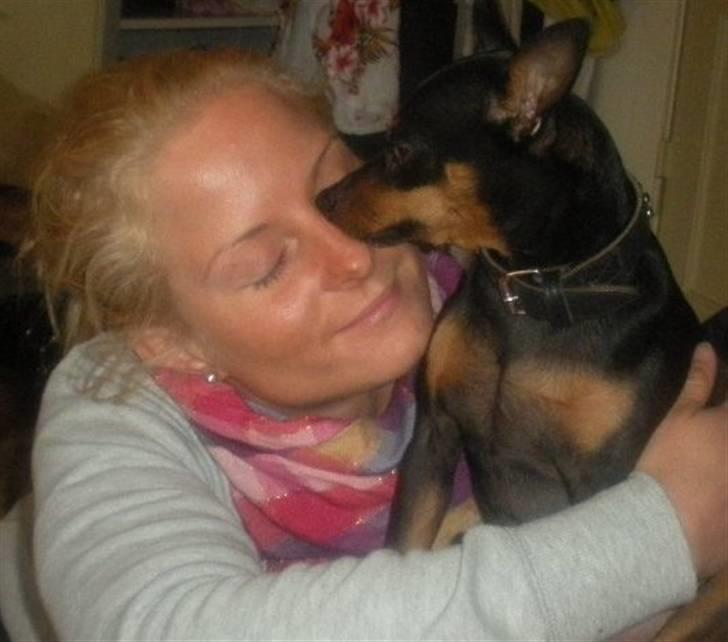 Dvaergpinscher King  † R.I.P - Min elskede <3 2010 billede 3