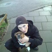 Amerikansk staffordshire terrier A´Rikki