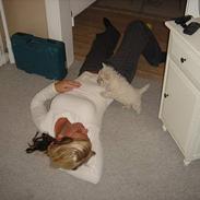 West highland white terrier Dina