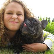 Fransk bulldog Rane Viking R.I.P. <3