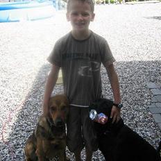 Blanding af racer Tyson