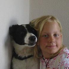 Border collie Myra <33 