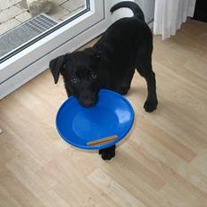 Blanding af racer Tikki